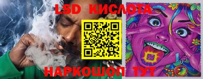 ешки Долгопрудный