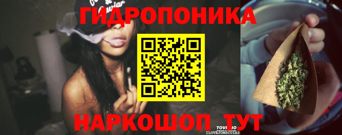 Губкин  Бошки Шишки семена  Канабис тримм  Вход с VPN  МАРИХУАНА Amnesia  Каннабис тримм 